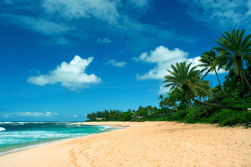 HAWAIIAN BEACH, sun, hawaii, golden, ocean, pacific, surf, waves, beach, oahu, sand, water, sandy, north shore, tropical, hawaiian, HD wallpaper