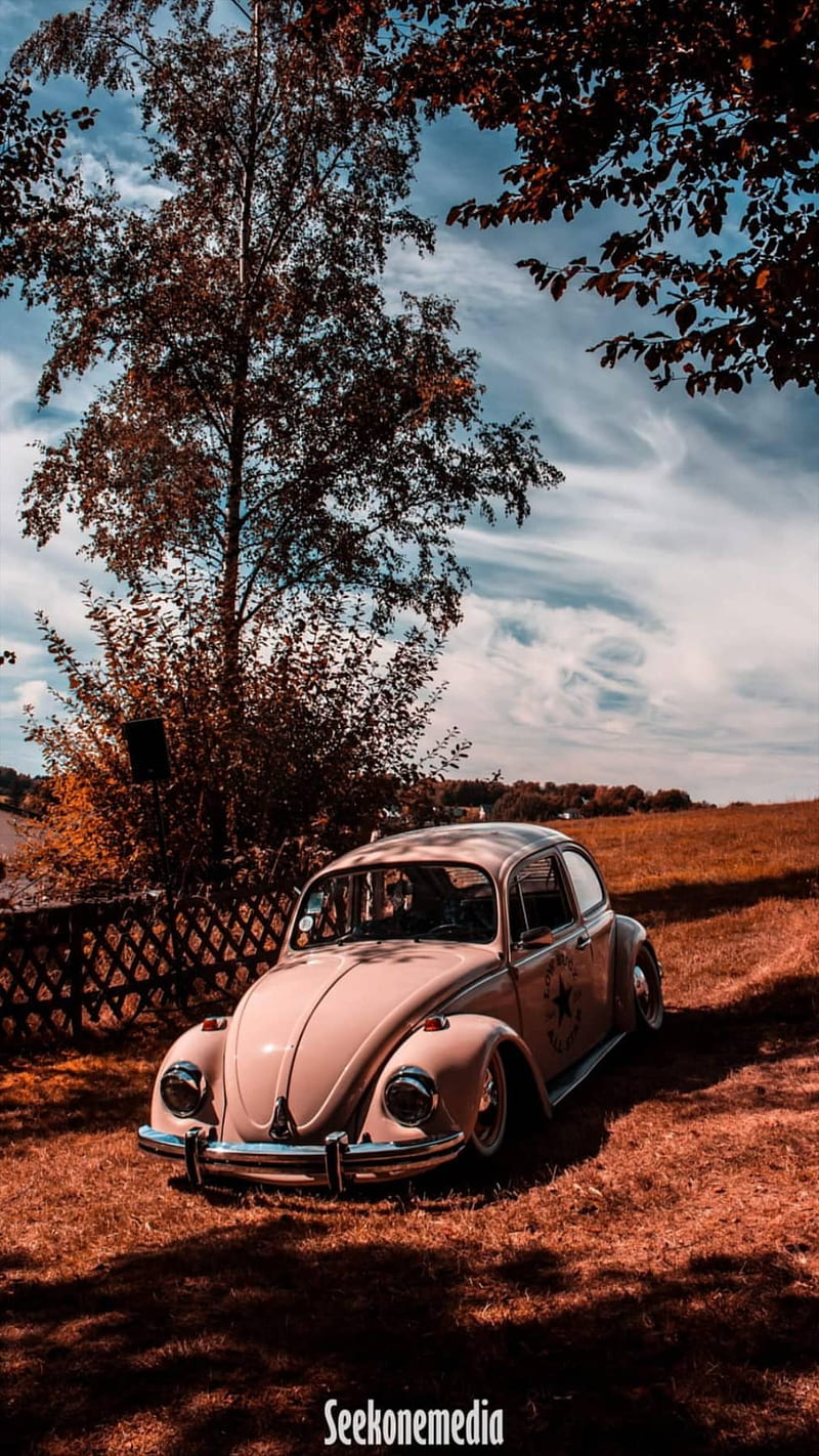 Beetle, arabalar pink, car, carros, HD phone wallpaper | Peakpx