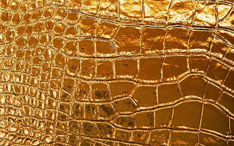 Snake skin, pattern, golden, texture, yellow, skin, snake, HD wallpaper