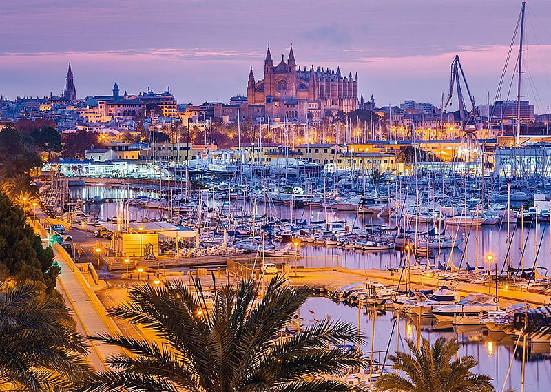 Palma de Mallorca, Spain, beach, boats, buildings, port, sea, palms, HD wallpaper