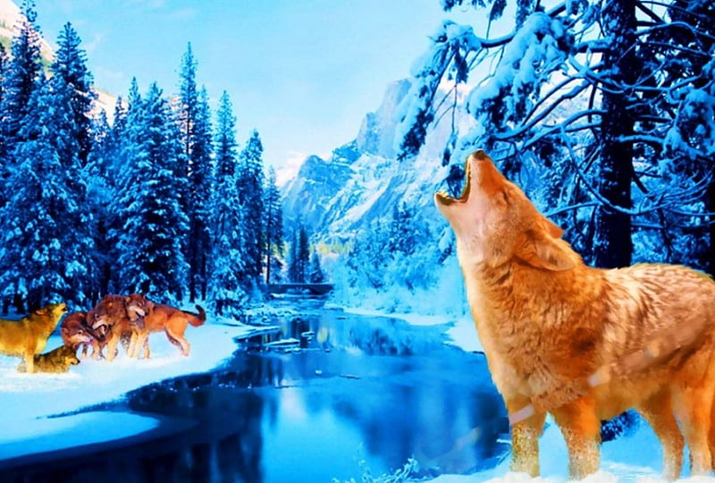Winter Melody, artwork, winter, snow, wolfpack, painting, wildlife, ice, river, wolf, wolves, HD wallpaper