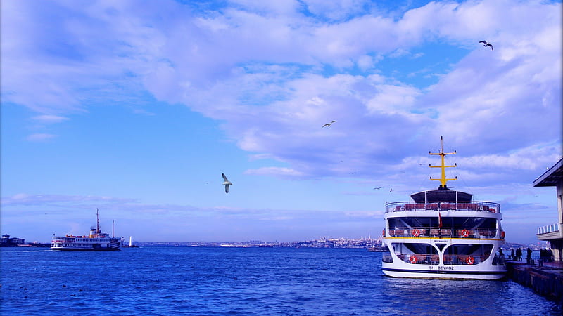 Ready For A Sea Cruise, cruise ship, luxury cruise, sea cruise, luxury liner, HD wallpaper