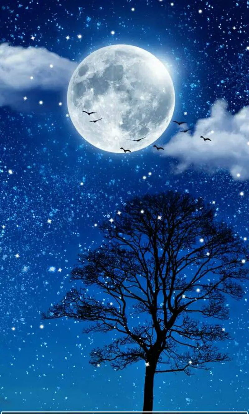 By the way, full moon, birds, late, stars, clouds, tree, silhouette, night, good night, HD phone wallpaper