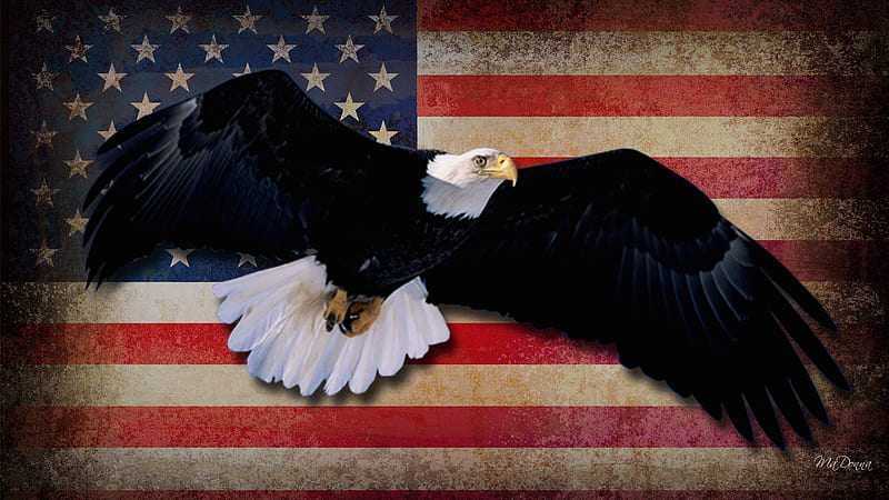 1,406 American Flag Eagle Stock Photos, High-Res Pictures, and Images -  Getty Images