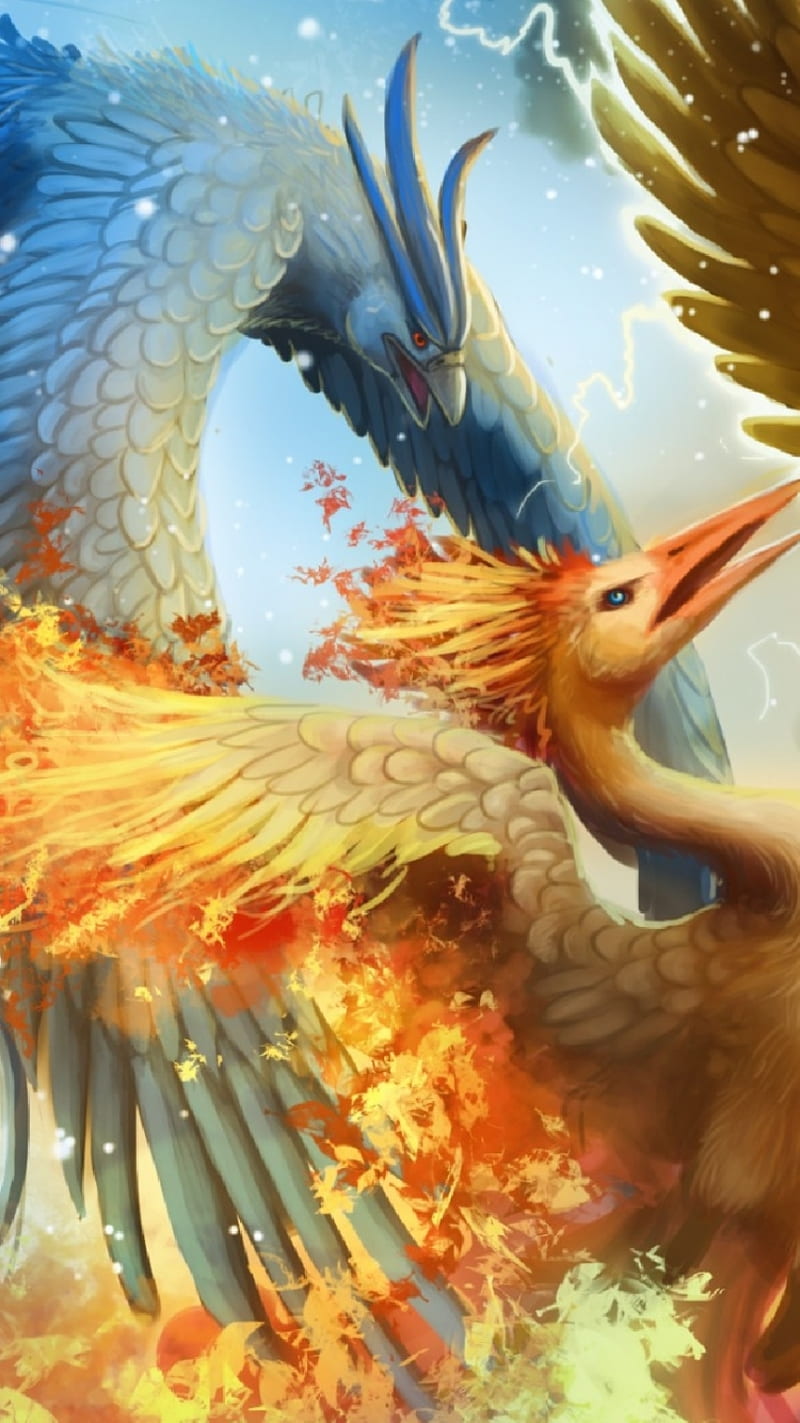 Legendary Pokemon Moltres Drawing - Wallpaper - Image Chest - Free