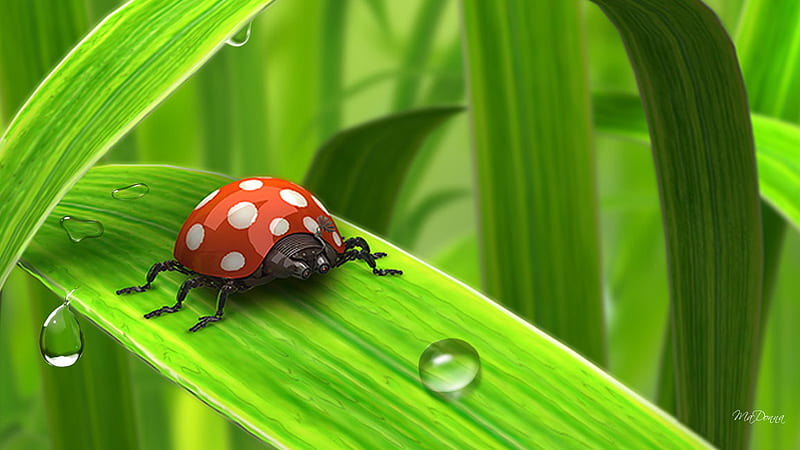 Sweet Ladybug, fresh, spring, leaf, ladybug, green, bright, lady bug, morning, dew drops, HD wallpaper