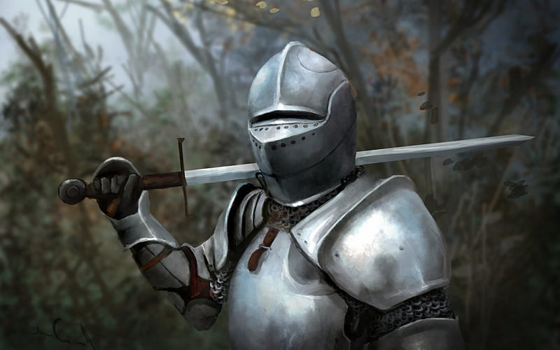 Medieval Knight, knights, knight in shining armor, medieval ages, HD wallpaper