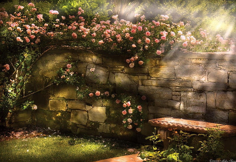 In the rose garden, sunrays, romantic, rays, rose, bench, garden, roses, HD wallpaper