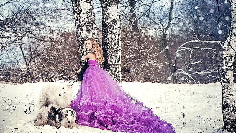Beautiful Girl Model With Dogs Is Wearing Purple Dress And Fur Scarf Standing In Snow Field Girls, HD wallpaper