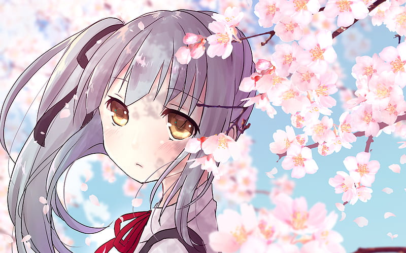 Kasumi, kimono, cherry blossoms, manga, Kancolle, Kantai Collection, sakura, HD wallpaper
