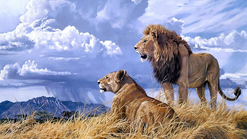 Lions, cloud, leu, sky, lion, animal, lioness, couple, big cats, blue, HD wallpaper