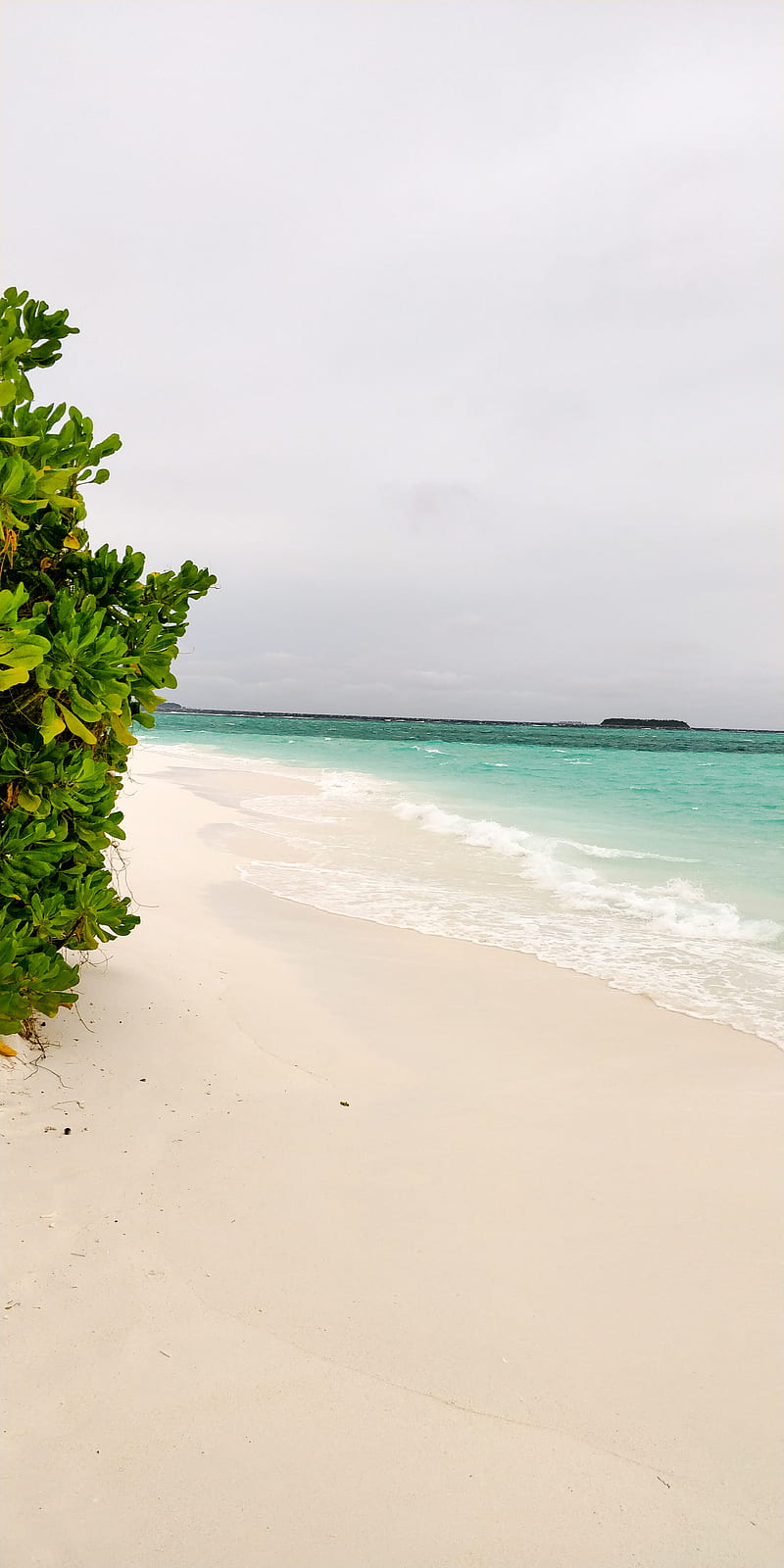 Maldives, crystal, honeymoon, love, natural, sunny, unique, velavaru, HD phone wallpaper