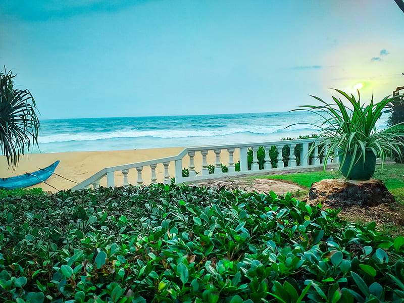 Mount Lavinia Hotel, beach, garden, tropical, view, HD wallpaper
