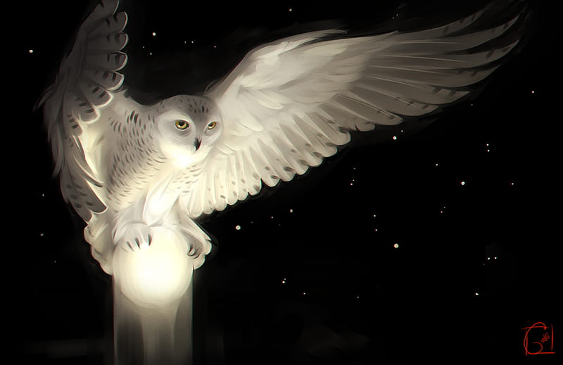 Snowy Owl, owl, artist, artwork, HD wallpaper