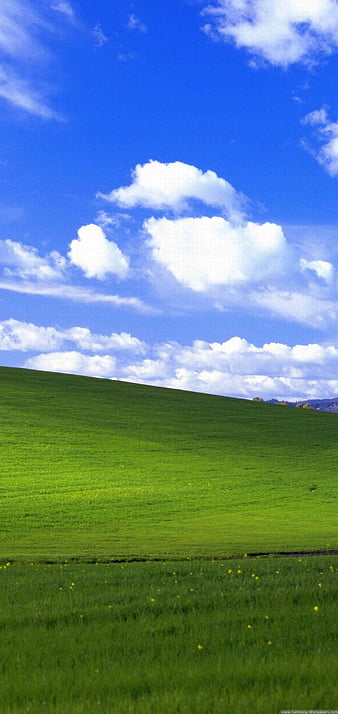 WinXP Bliss là hình nền mặc định của hệ điều hành Windows XP, được người dùng yêu thích và sử dụng rộng rãi. Cùng khám phá bức ảnh WinXP Bliss đó và hòa mình vào không gian xanh mát, tràn đầy sự bình yên và tĩnh lặng.