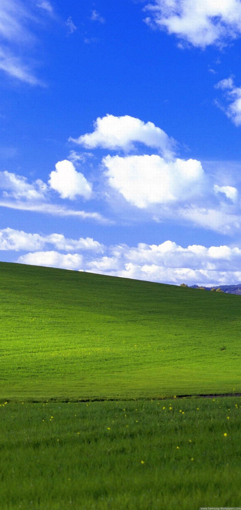 WinXP BLISS, clouds, field, green, sky, view, window, windows, HD phone wallpaper