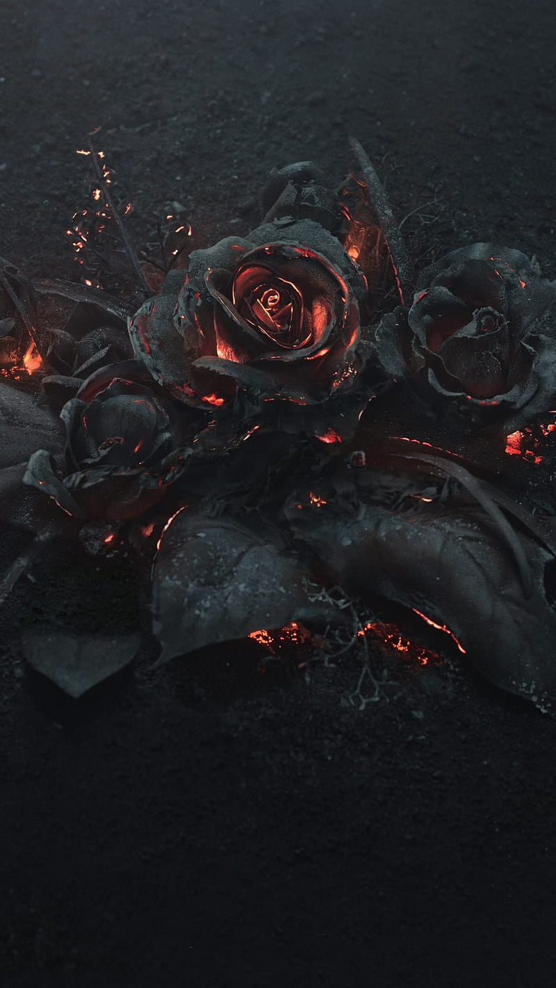 Burning Roses , dark, fire, flowers, rose, burning rosesburn, black, HD phone wallpaper