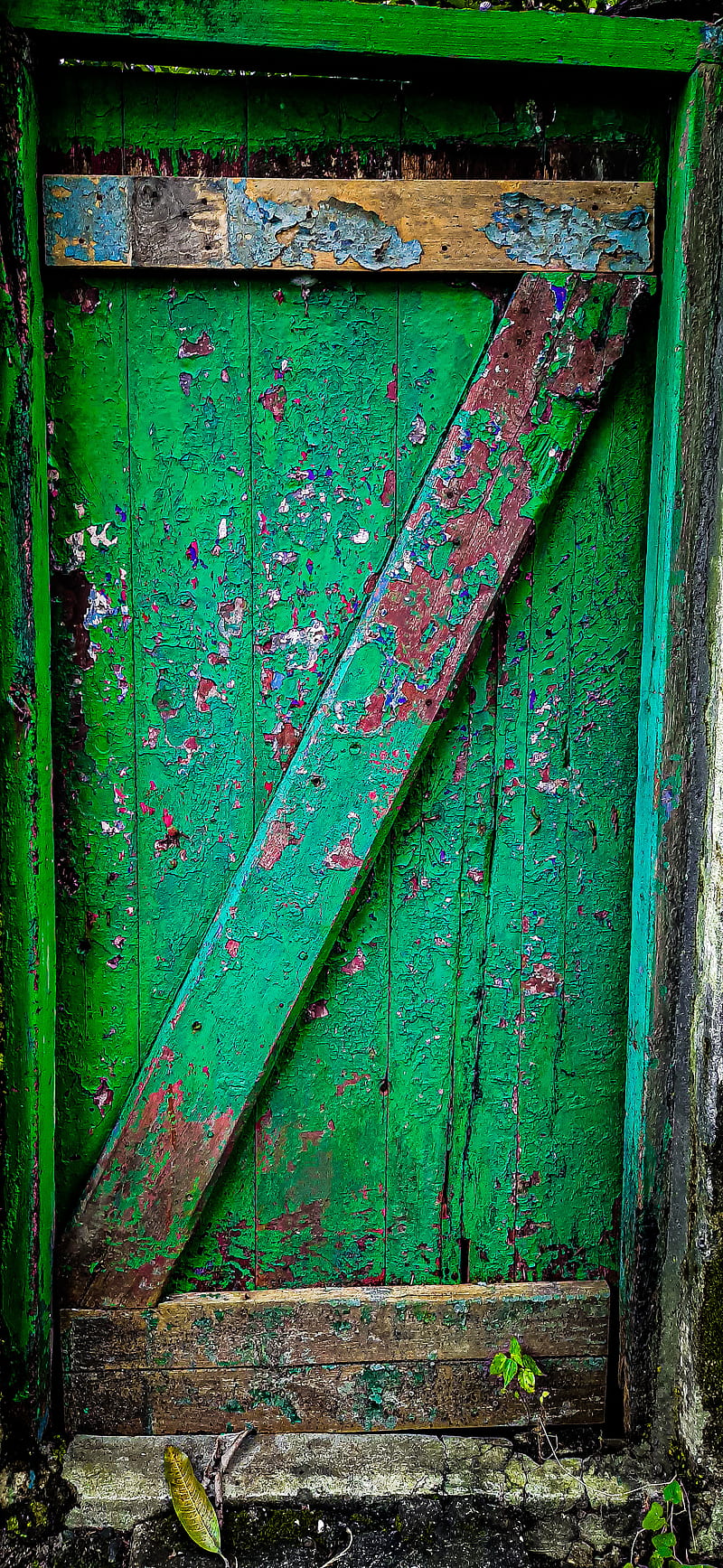 HD colourful door wallpapers