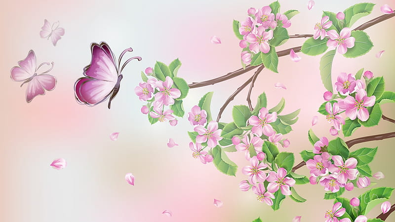 Plum Blossoms and Butterflies, sakura, butterflies, apple blossoms, cherry blossoms, flowers, petals, plum blossoms, pink, Firefox Persona theme, HD wallpaper