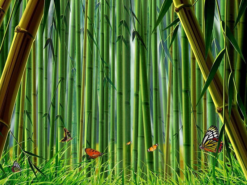 BAMBOO FOREST, leaves, green, grass, plants, stalks, butterflies, insects, bamboo, HD wallpaper