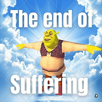 Meme, funny, shrek, HD phone wallpaper