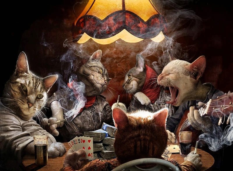 Cats Partying, cat, cats, cute, party, pet, smoking, HD wallpaper