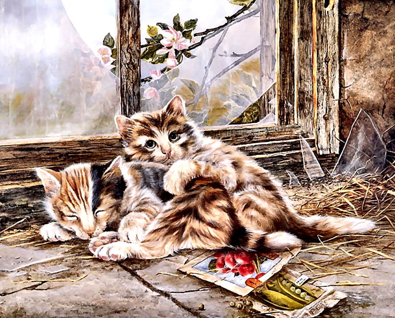 Kittens in the Shed - Cats , art, window, seed packets, kittens, bonito, shed, pets, artwork, animal, seeds, feline, painting, wide screen, flower, cats, HD wallpaper