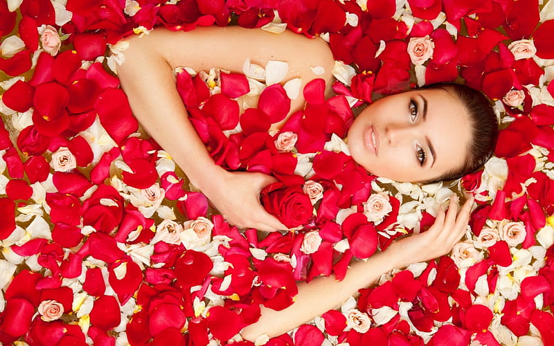 Beautiful Woman, red roses, rose, white roses, roses, woman, hands, girl, petals, face, eyes, HD wallpaper