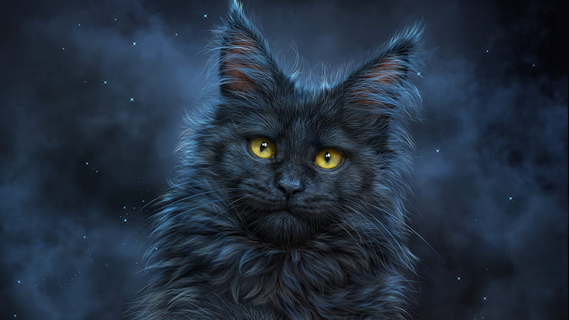 Cute Ash And Blue Cat With Yellow Eyes In A Starry Background Animals, HD wallpaper