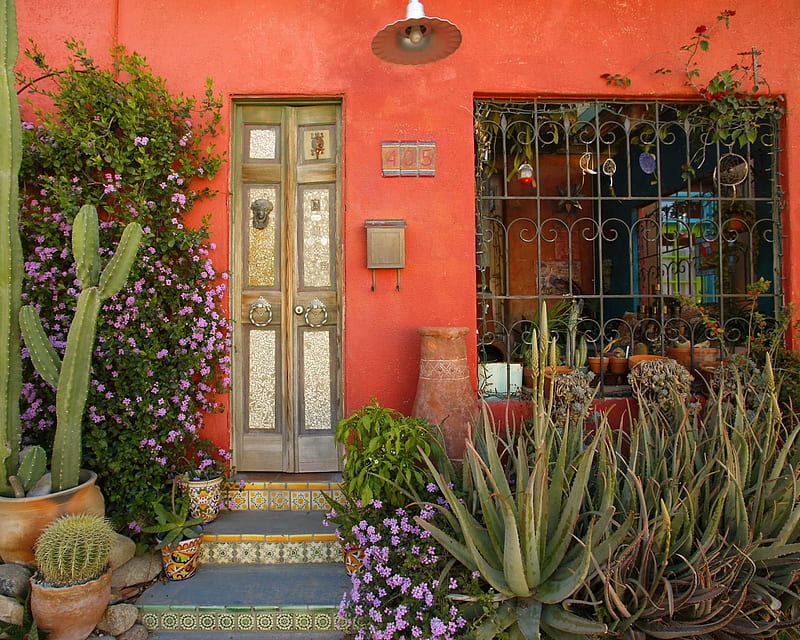 A nice cottage, window, plants, flowers, bonito, door, HD wallpaper