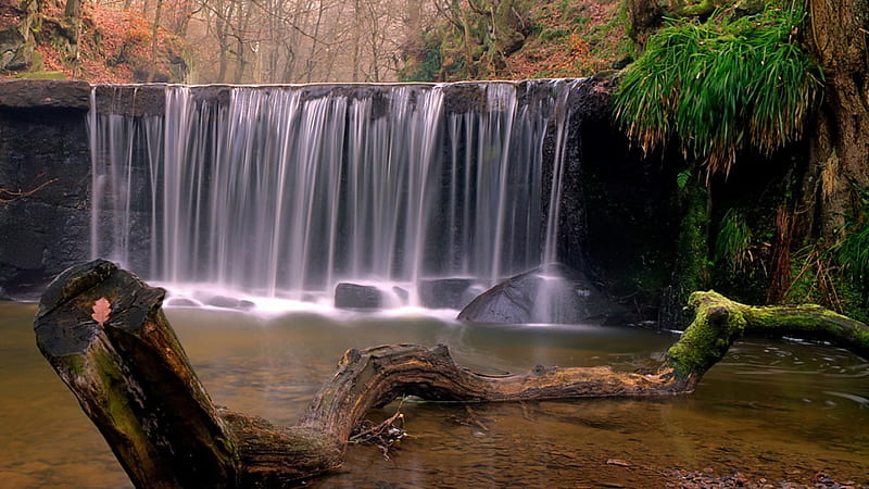 beautiful autumn waterfall, watefall, autumn, pool, stump, HD wallpaper