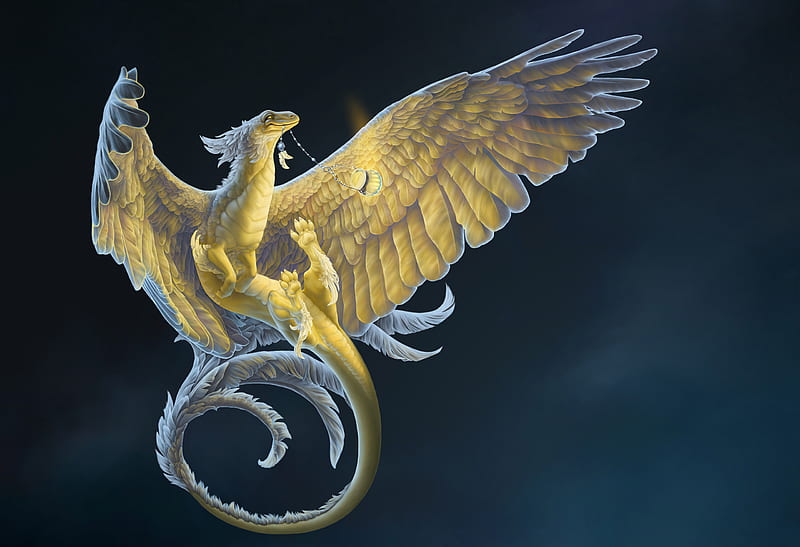 feathered dragon, cute, fantasy, black, white, dragon, elegant, feathers, HD wallpaper