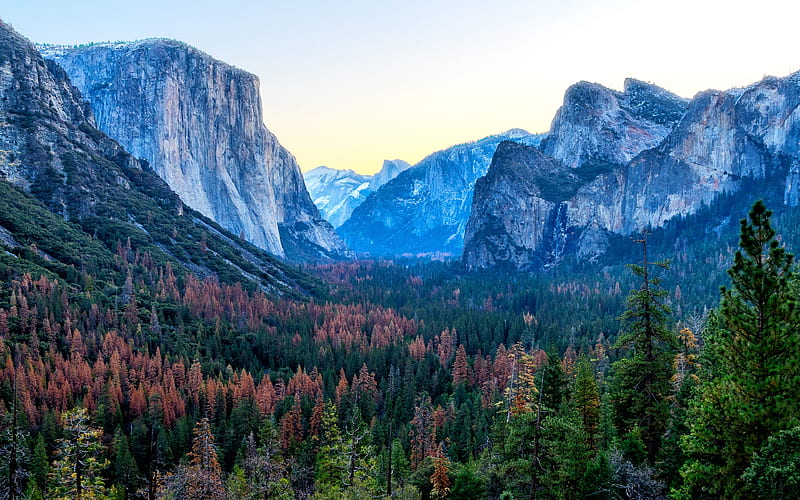 Yosemite Valley, autumn, american landmarks, Yosemite National Park, forest, California, USA, America, HD wallpaper