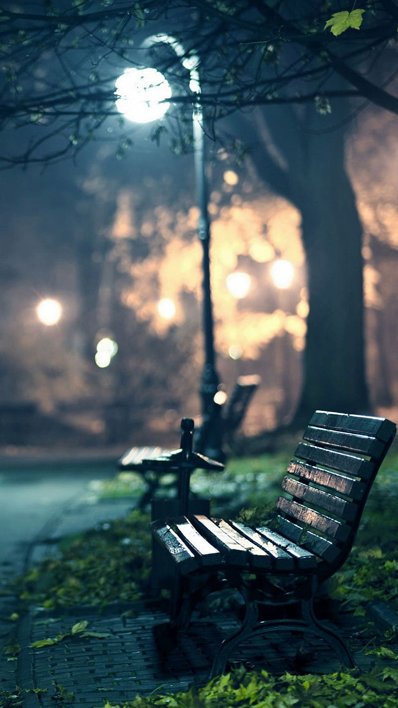 Lonely Bench, lights, nature, night, park, HD phone wallpaper