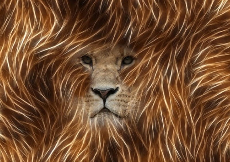 FRACTAL LION, ANIMAL, LION, FRACTAL, ABSTRACT, HD wallpaper | Peakpx