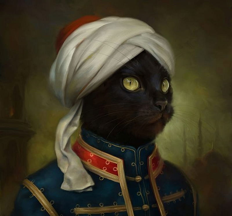 :), luminos, turban, portrait, cat, pisici, red, art, turk, black, fantasy, white, HD wallpaper