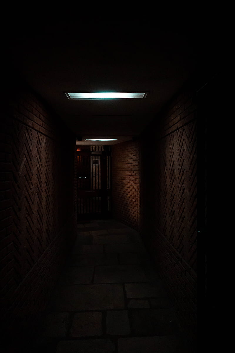 corridor, dark, darkness, HD phone wallpaper