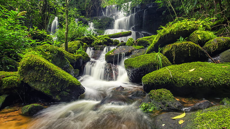 Waterfalls On Rocks Algae Covered Stones Green Plants Bushes Scenery, HD wallpaper