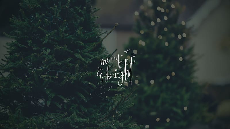 Things & My December . December, Christmas Shopping, HD wallpaper | Peakpx