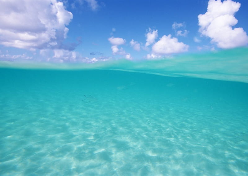 Turquoise blue water under blue, water, beaches, nature, sky, blue, HD wallpaper