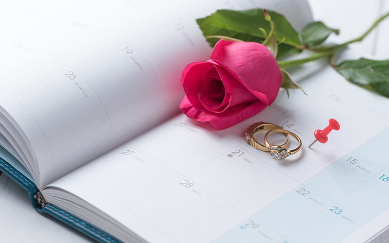 wedding concepts, red roses, wedding rings, wedding date concepts, diary, calendar, HD wallpaper
