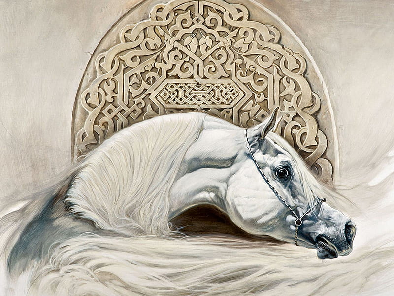 Arabian Horsehead, art, equine, bonito, horse, artwork, animal, Arabian, painting, wide screen, HD wallpaper
