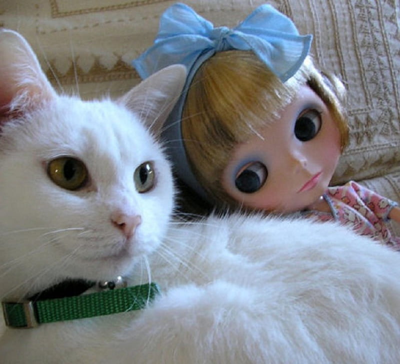 Beautiful dolls and cat cute, smile, cat, doll, happy, HD wallpaper | Peakpx