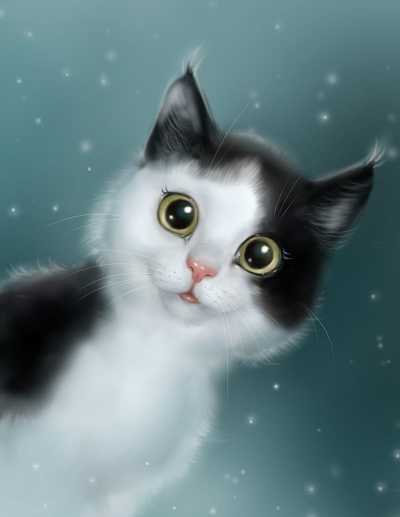 cat, cute, pet, art, HD phone wallpaper