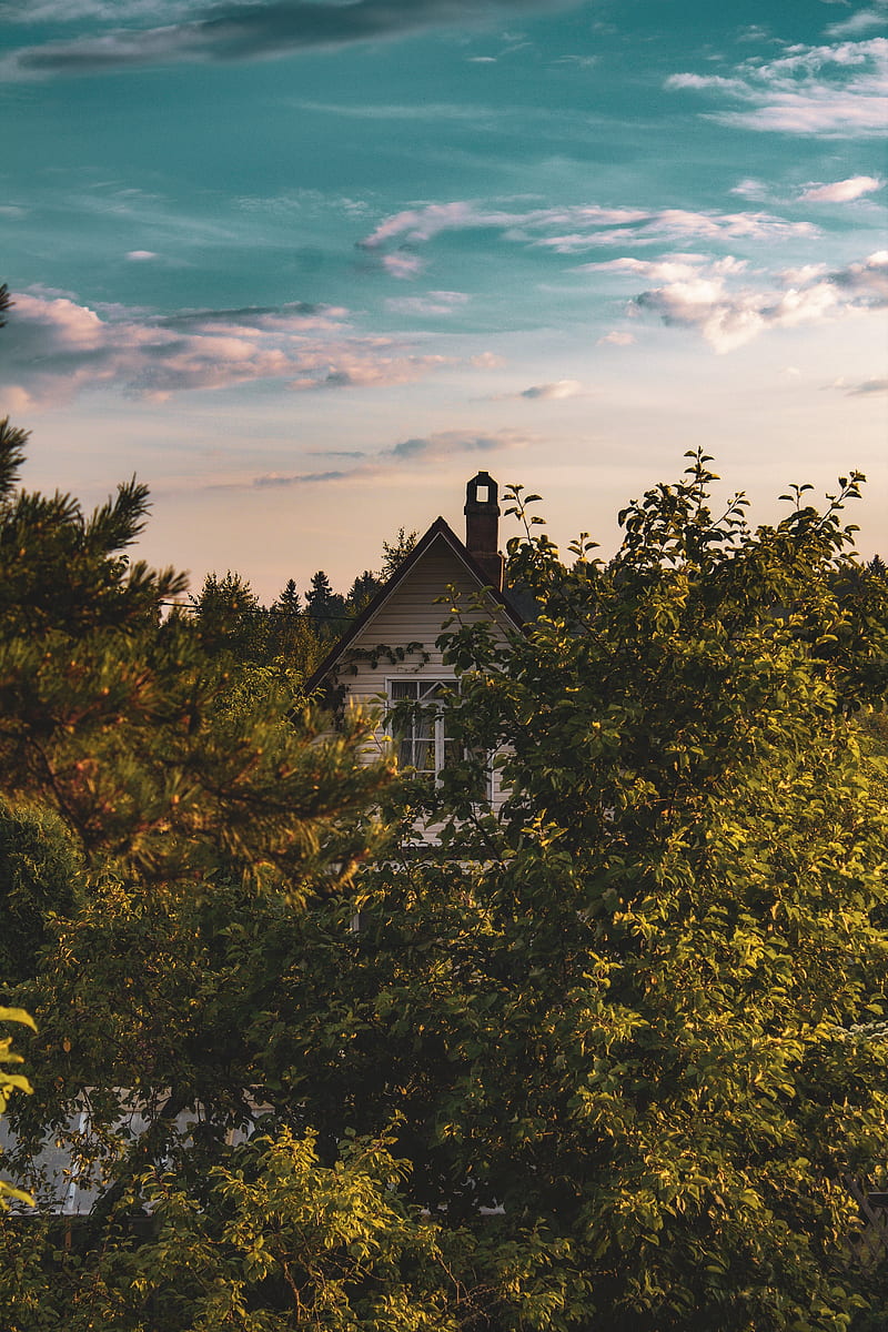 house, building, trees, bushes, sky, HD phone wallpaper