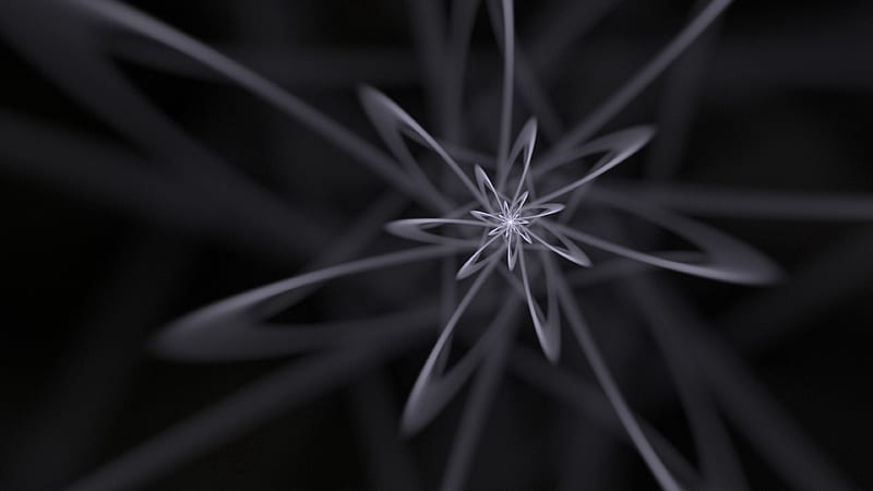 fractal, lines, tangled, bw, abstraction, HD wallpaper