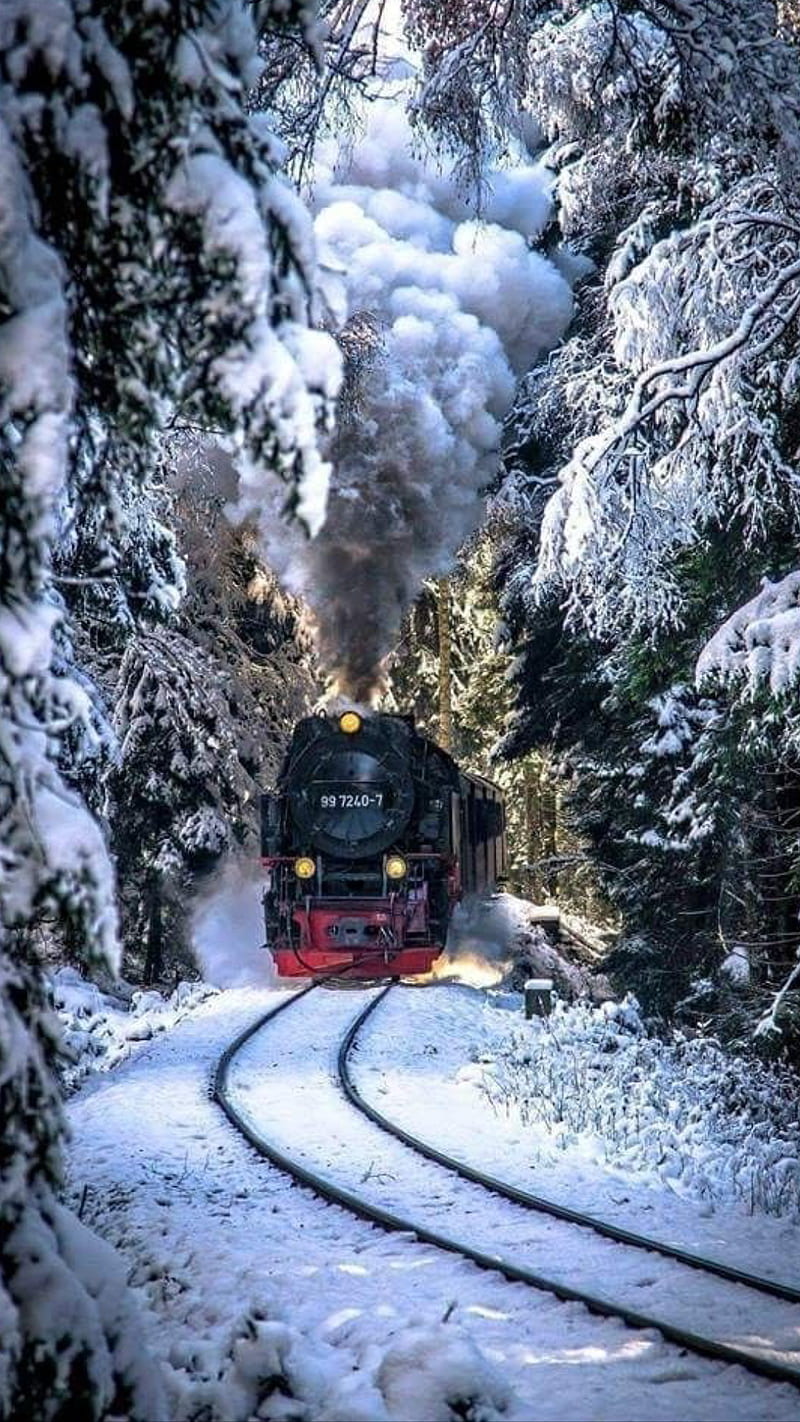 Steam train, locomotive, snow, trees, winter, HD phone wallpaper