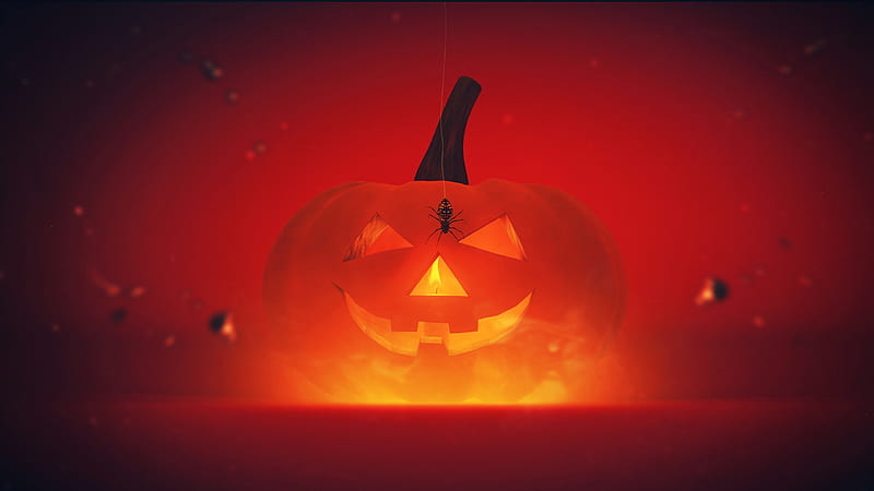 Helloween, halloween, pumpkin, pumpkins, orange, theme, skull, halloween , happy, halloween favorites, witch, HD wallpaper
