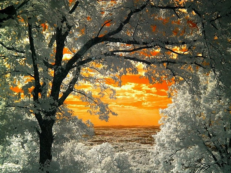 Sunset orange, mix, HD phone wallpaper