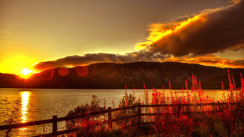 GORGEOUS DUSK, flowers, nature, sunset, Loch Ness, sky, lake, HD wallpaper